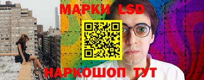 МДПВ Донецк